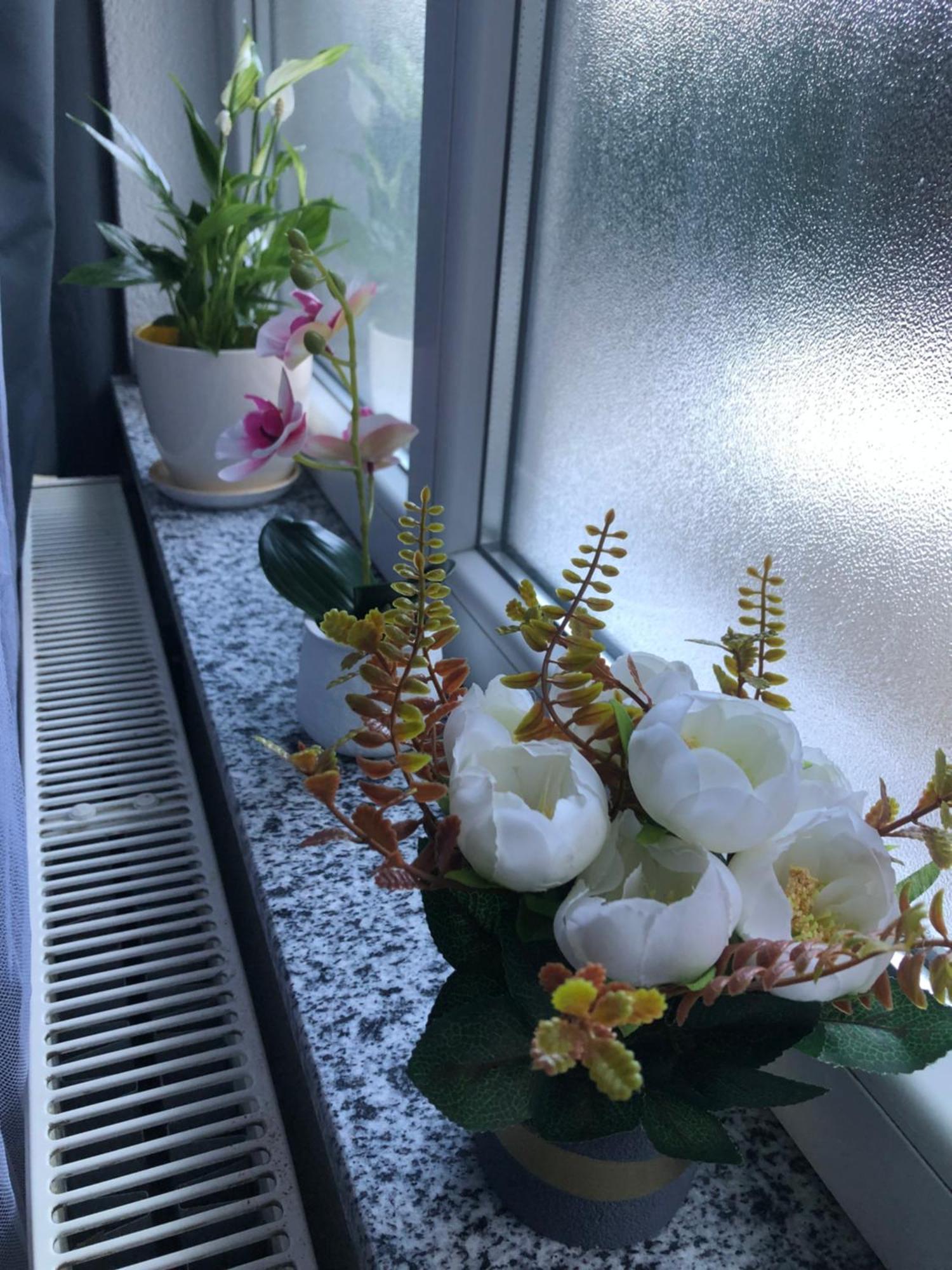 Graciaa Apartment ไยเซ ภายนอก รูปภาพ